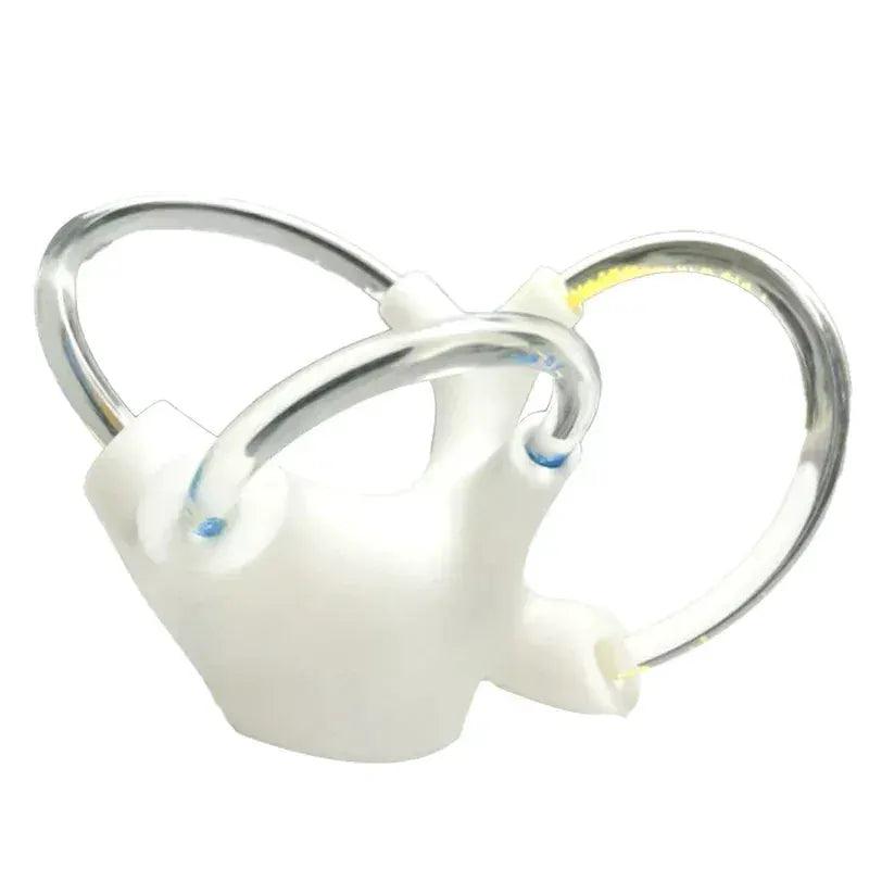  3D Inner Ear Anatomy Model Vestibular Rehab Education -  ToylandEU™