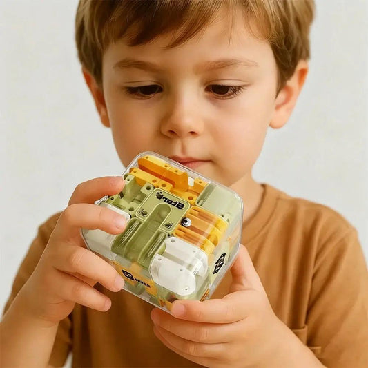 3D Puzzle Maze For Stress Relief Deluxe Brain Teaser -  ToylandEU™