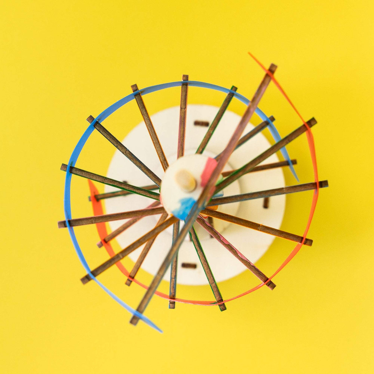 DNA Double Helix Model Kit | Wooden Build And Paint | Biology Science Project