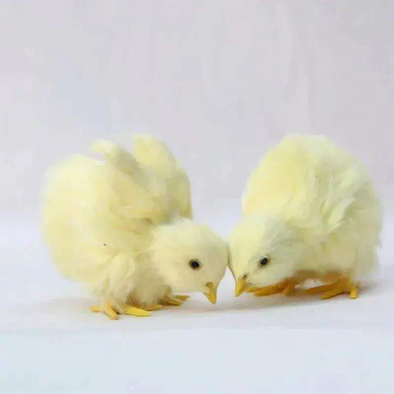 Realistic Baby Chick Figurines Set Of 4 Miniature Farm Chicks - ToylandEU