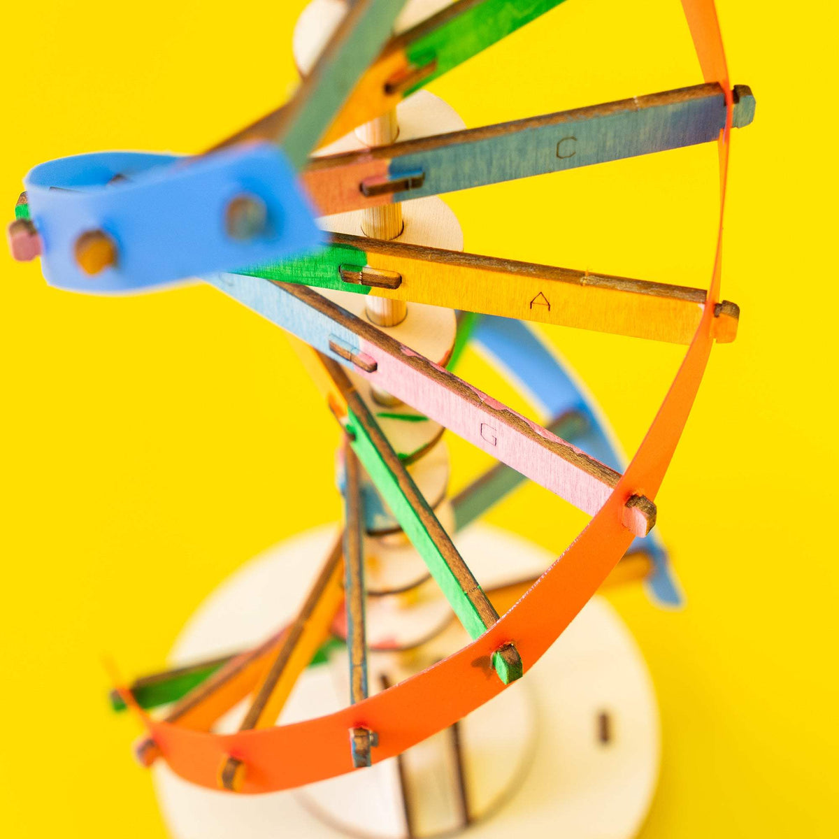 DNA Double Helix Model Kit | Wooden Build And Paint | Biology Science Project