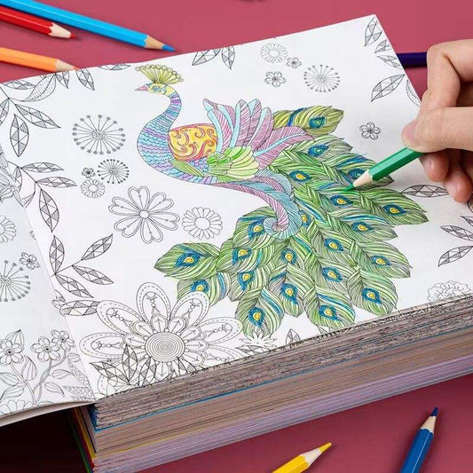 Secret Garden Coloring Book Set | Stress Relief