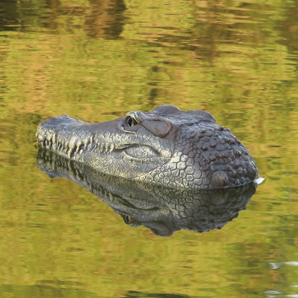 Remote Controlled Black Alligator Head Boat