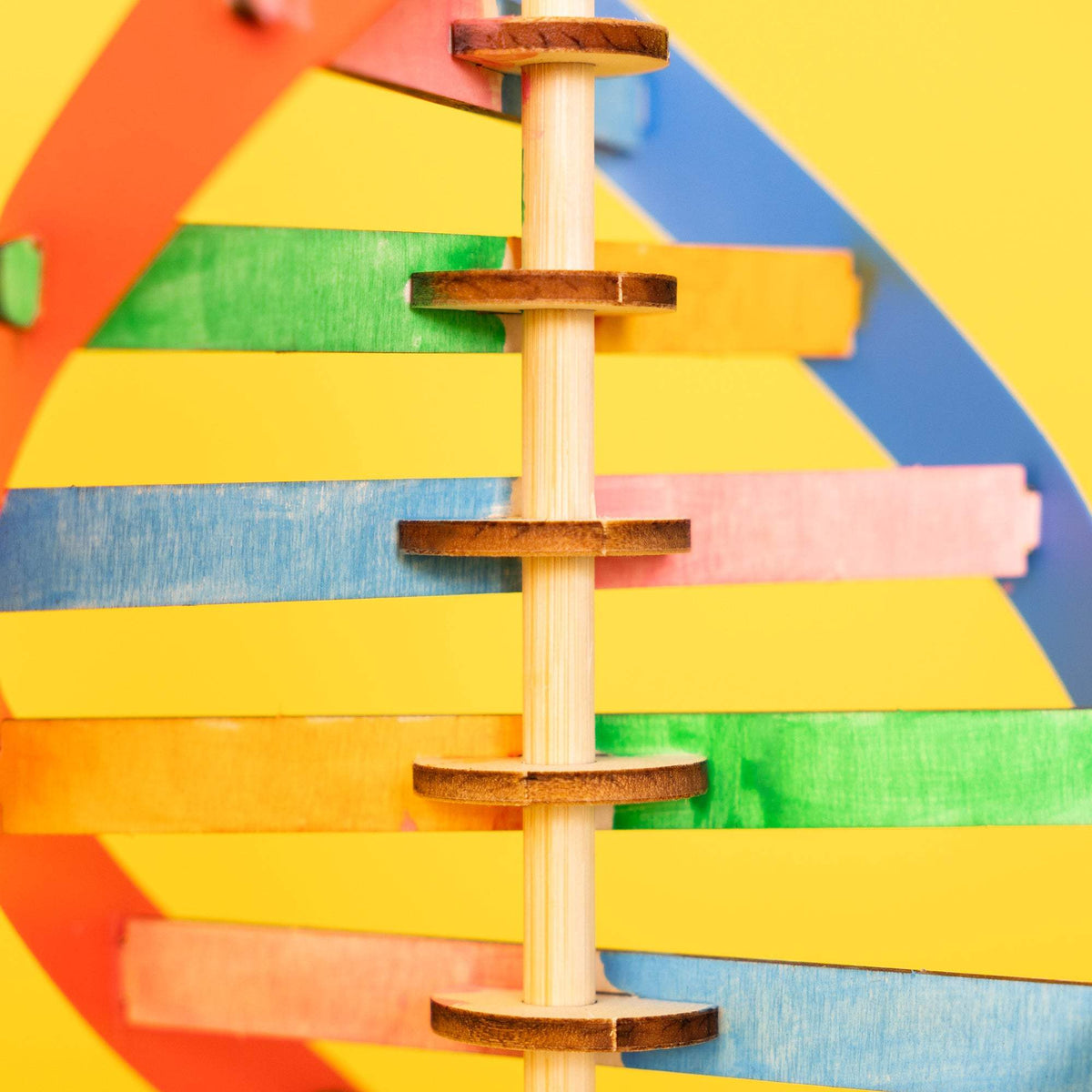 DNA Double Helix Model Kit | Wooden Build And Paint | Biology Science Project