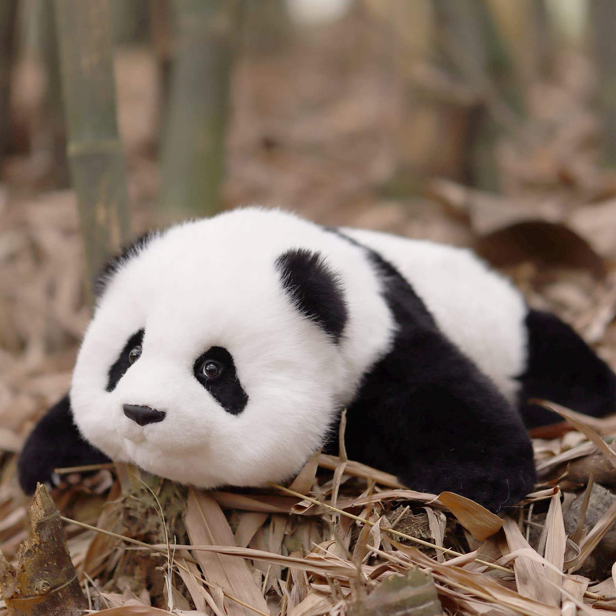 Weighted Stuffed Animal | 2.5 Lbs | Red Panda ESA Companion