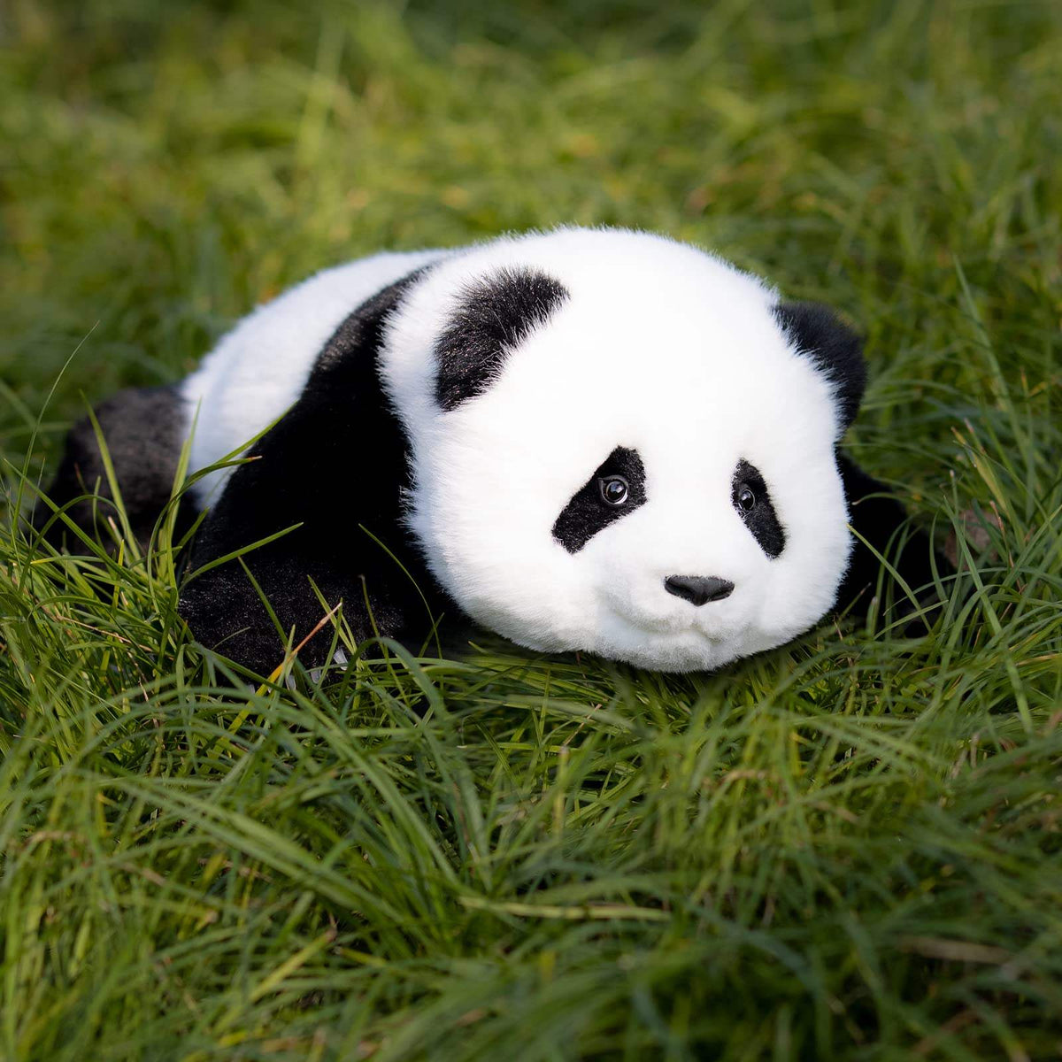 Weighted Stuffed Animal | 2.5 Lbs | Red Panda ESA Companion
