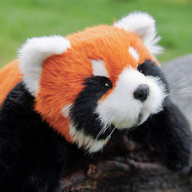 Weighted Stuffed Animal | 2.5 Lbs | Red Panda ESA Companion
