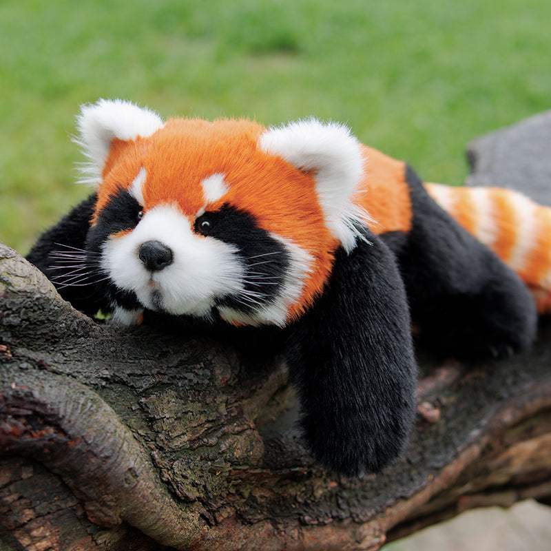 Weighted Stuffed Animal | 2.5 Lbs | Red Panda ESA Companion