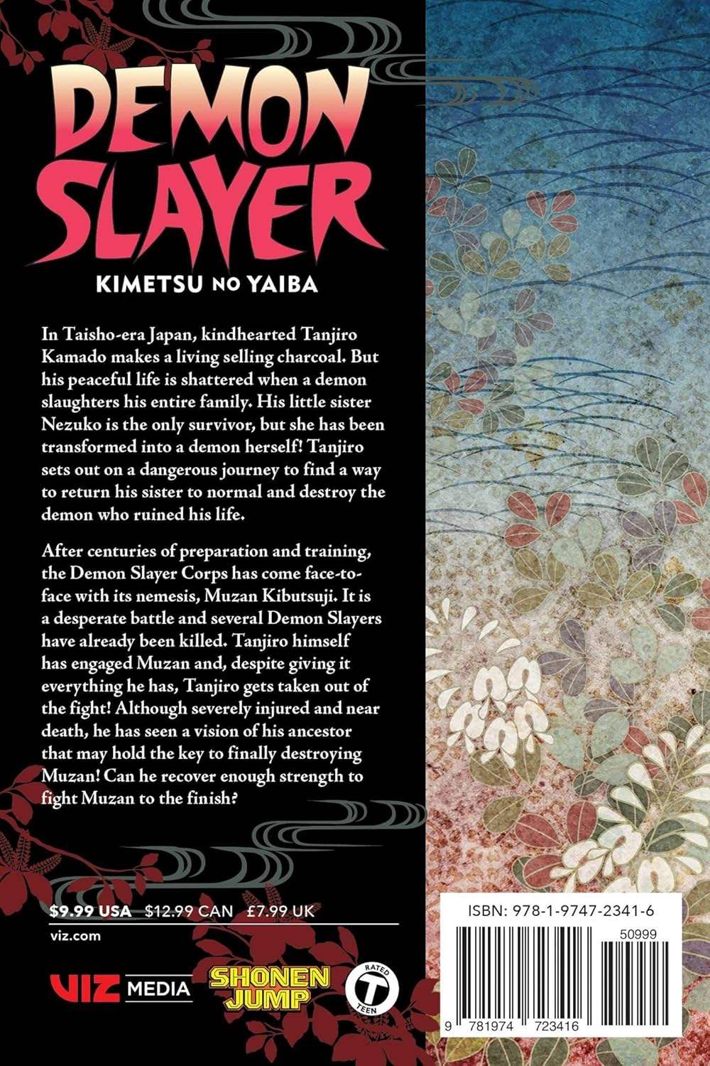 Demon Slayer: Kimetsu no Yaiba Vol 22 | Manga Paperback | Graphic Novel | Anime Fans