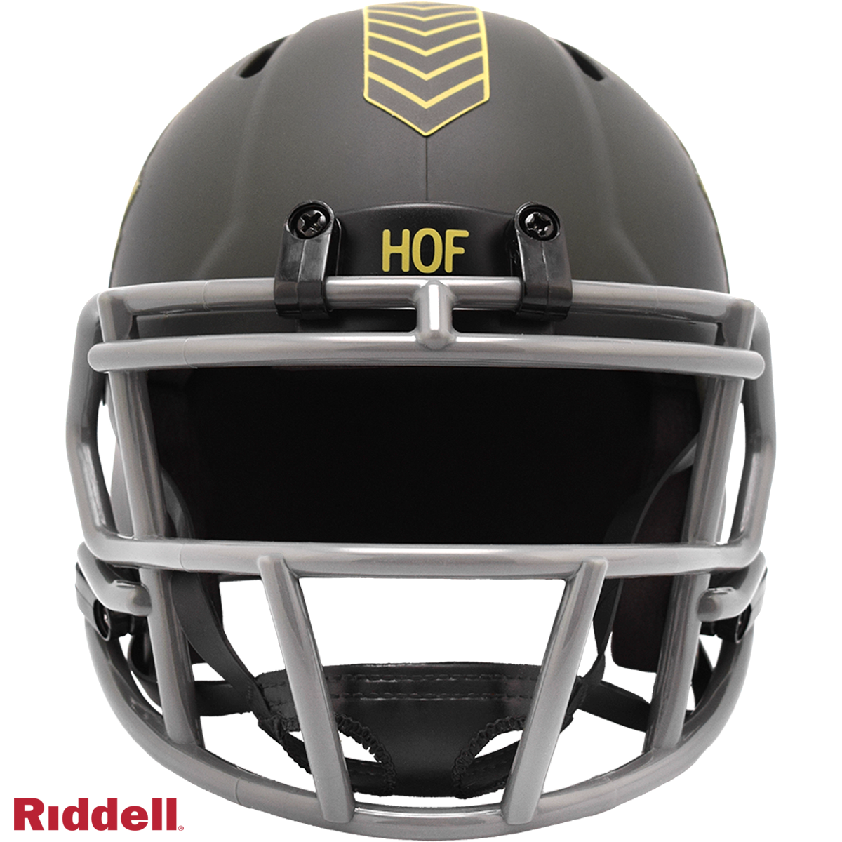 Hall of Fame Helmet Riddell Replica Mini Speed Style Salute To Service 2025