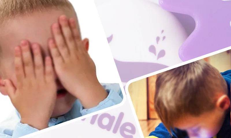 ABC Alphabet Learning Toys Letters Animal Matching Puzzle Toy Ice Cream Color Sorting Montessori Educational Kids Toys - ToylandEU