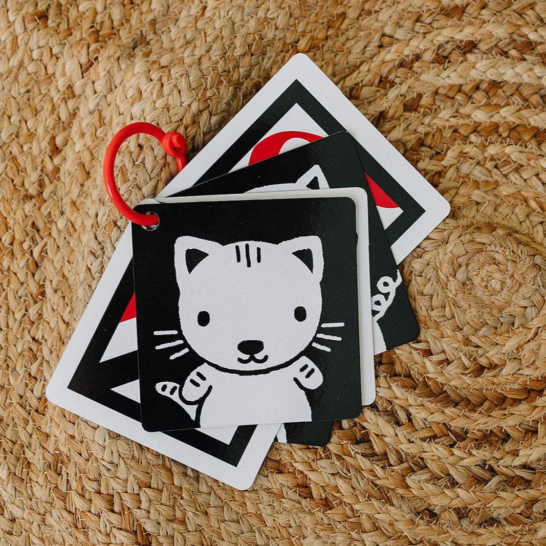 High Contrast Flashcards | Black White Red Patterns | 6 Pack | For Newborns