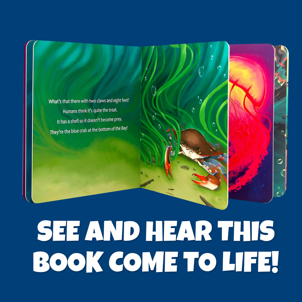 AR Book | 3D Sea Creatures | Toylandeu™