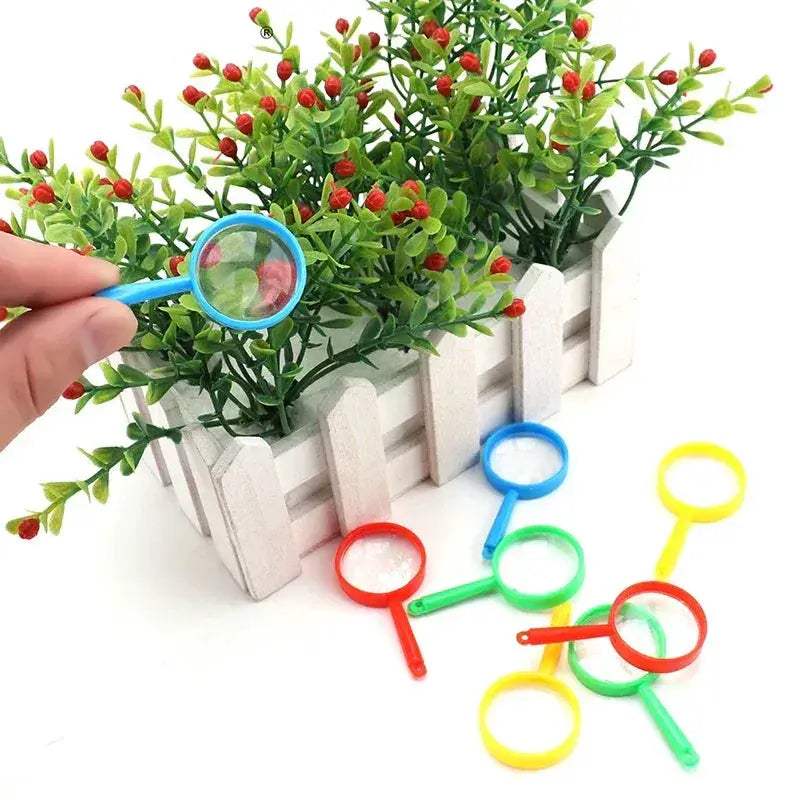 Acrylic Mini Magnifier Handheld Educational Tool For Science - ToylandEU