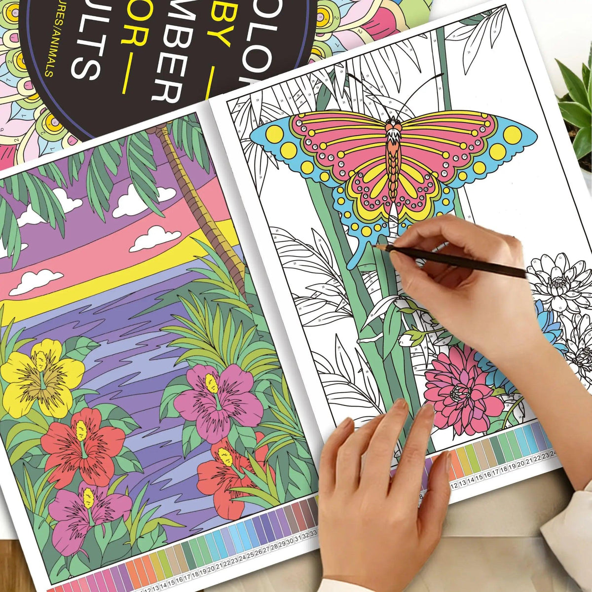 Adult Color By Number | Flower Patterns | Toylandeu™