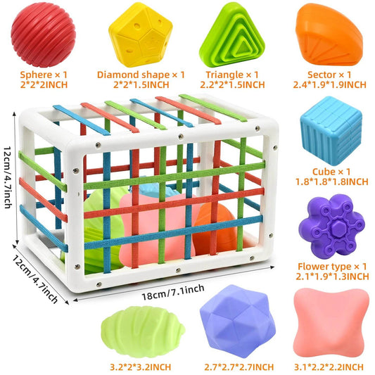 AiTuiTui Montessori Baby Toys for Boy Girl Gifts Shape Sorter - ToylandEU