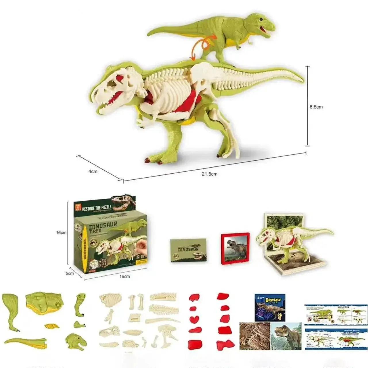  Amazing 3D Dinosaur Model Kit Toyland EU -  ToylandEU™