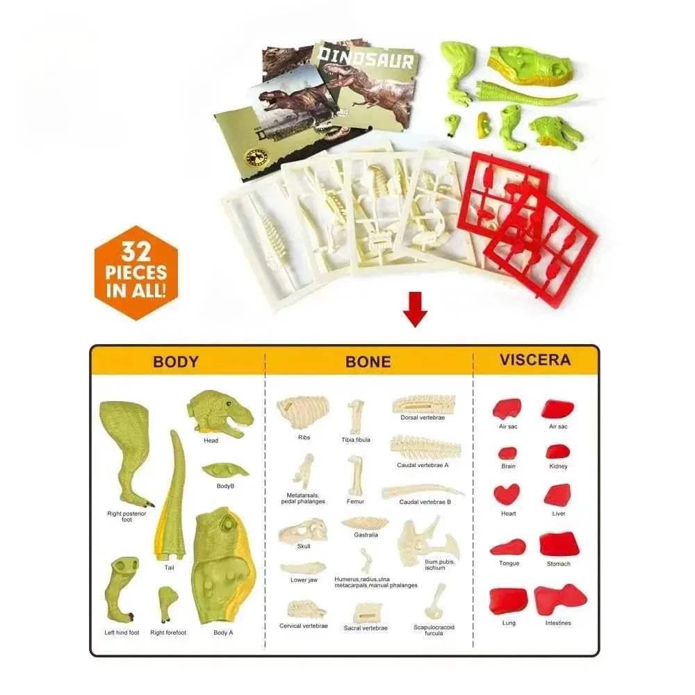  Amazing 3D Dinosaur Model Kit Toyland EU -  ToylandEU™