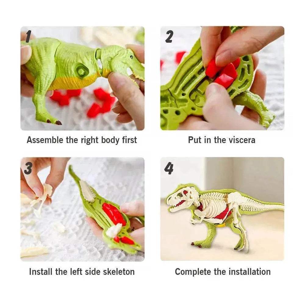  Amazing 3D Dinosaur Model Kit Toyland EU -  ToylandEU™