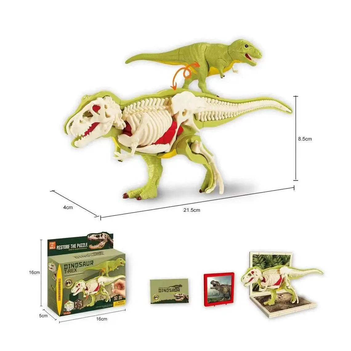  Amazing 3D Dinosaur Model Kit Toyland EU -  ToylandEU™