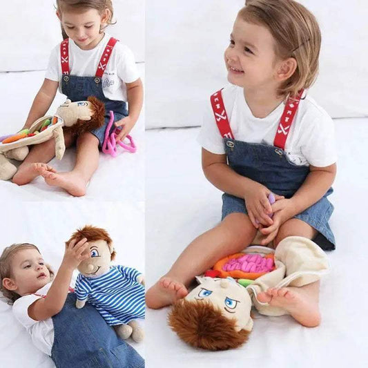  Amazing Anatomy Plush Toy Kit 49X33X6CM Toyland EU -  ToylandEU™