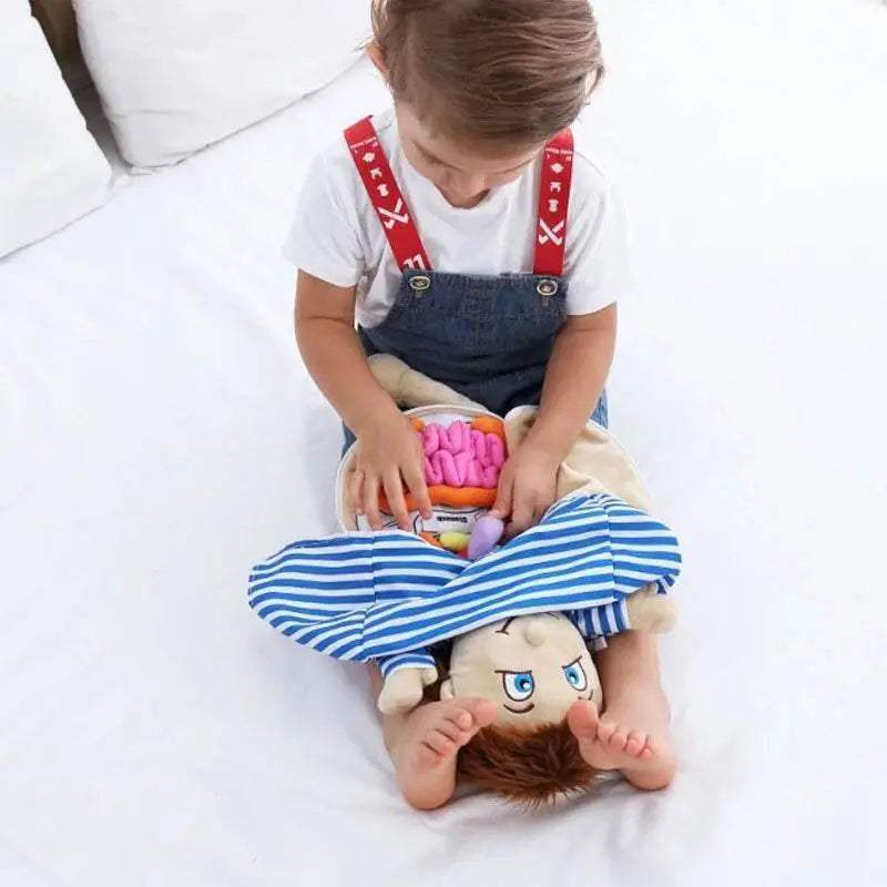  Amazing Anatomy Plush Toy Kit 49X33X6CM Toyland EU -  ToylandEU™