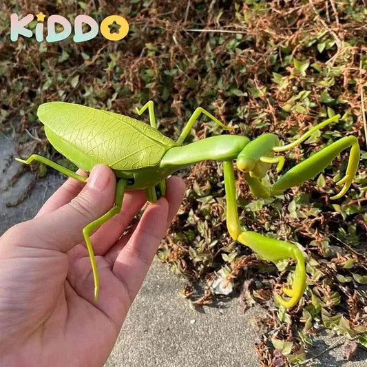  Amazing RC Cockroach 6Btn Simulation Prank Toyland EU -  ToylandEU™