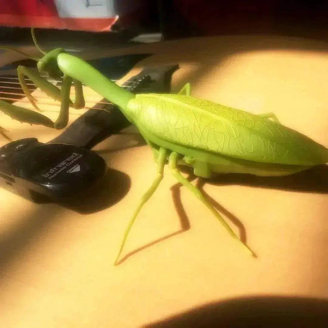  Amazing RC Cockroach 6Btn Simulation Prank Toyland EU -  ToylandEU™