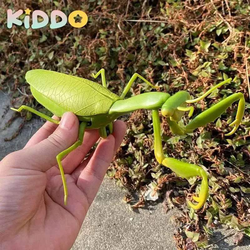  Amazing RC Cockroach 6Btn Simulation Prank Toyland EU -  ToylandEU™