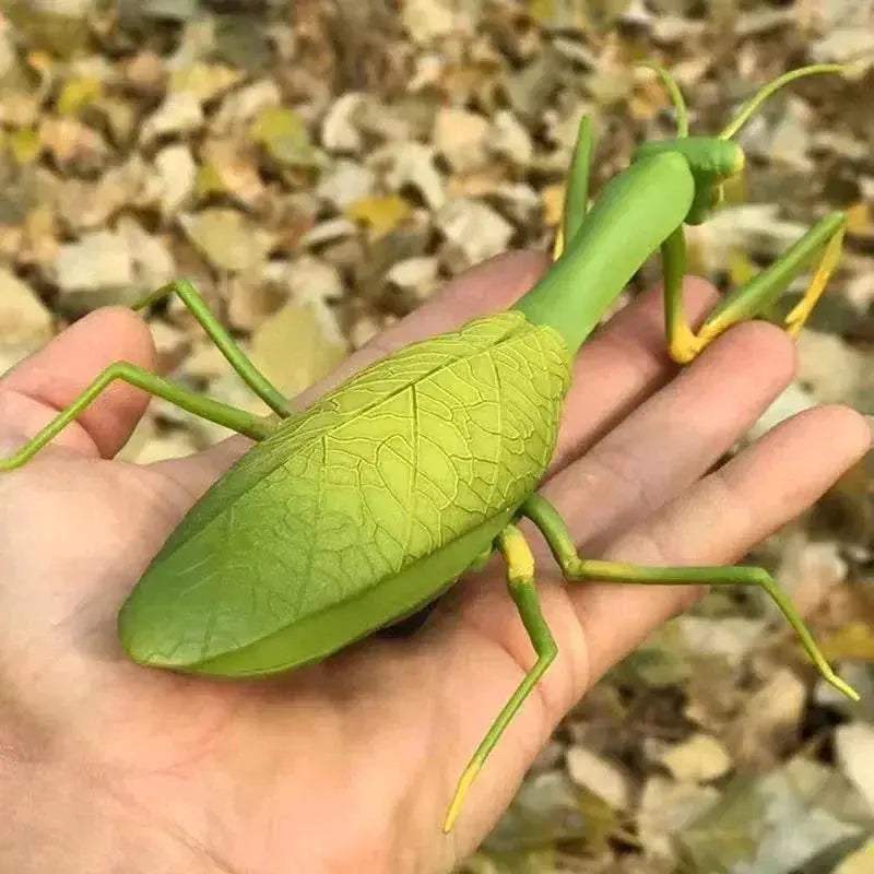  Amazing RC Cockroach 6Btn Simulation Prank Toyland EU -  ToylandEU™