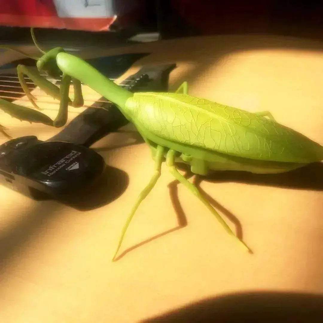  Amazing RC Cockroach 6Btn Simulation Prank Toyland EU -  ToylandEU™