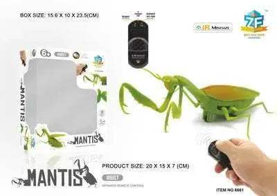  Amazing RC Cockroach 6Btn Simulation Prank Toyland EU -  ToylandEU™