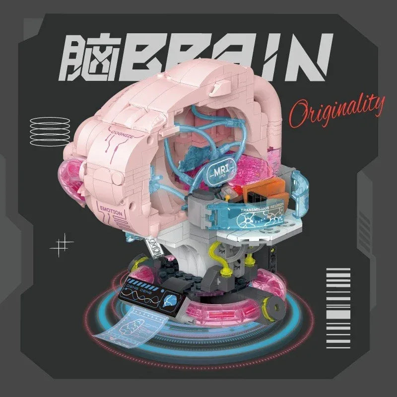 Anatomy Building Blocks Set For Hands On Medical Education - ToylandEU