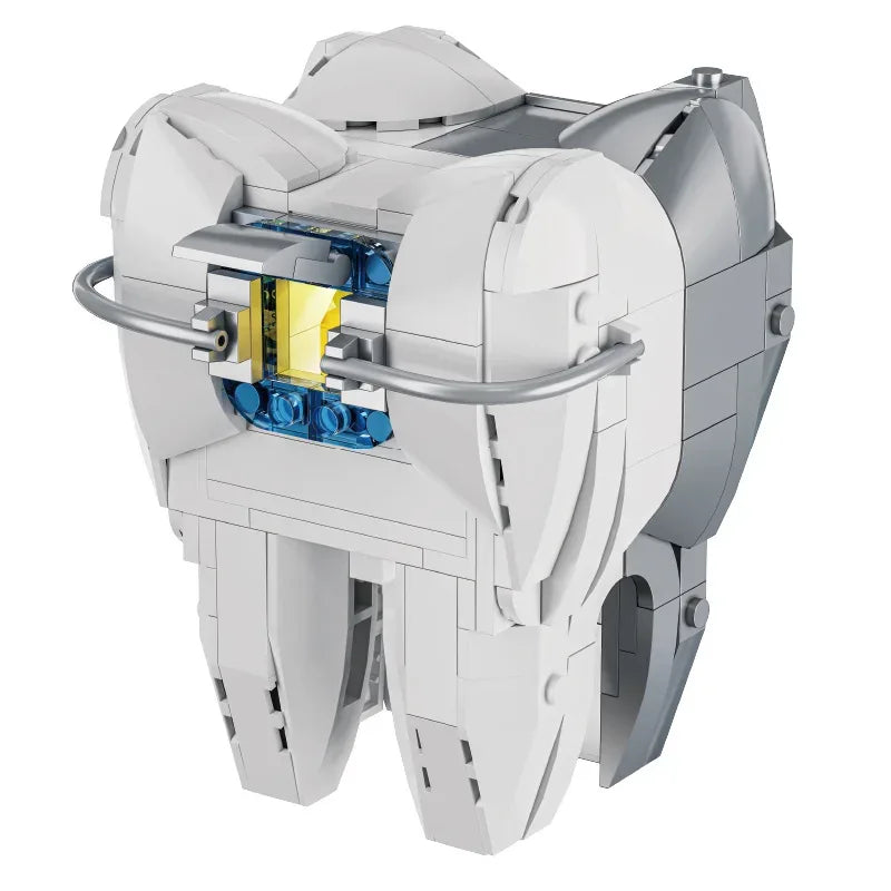 Anatomy Building Blocks Set For Hands On Medical Education - ToylandEU