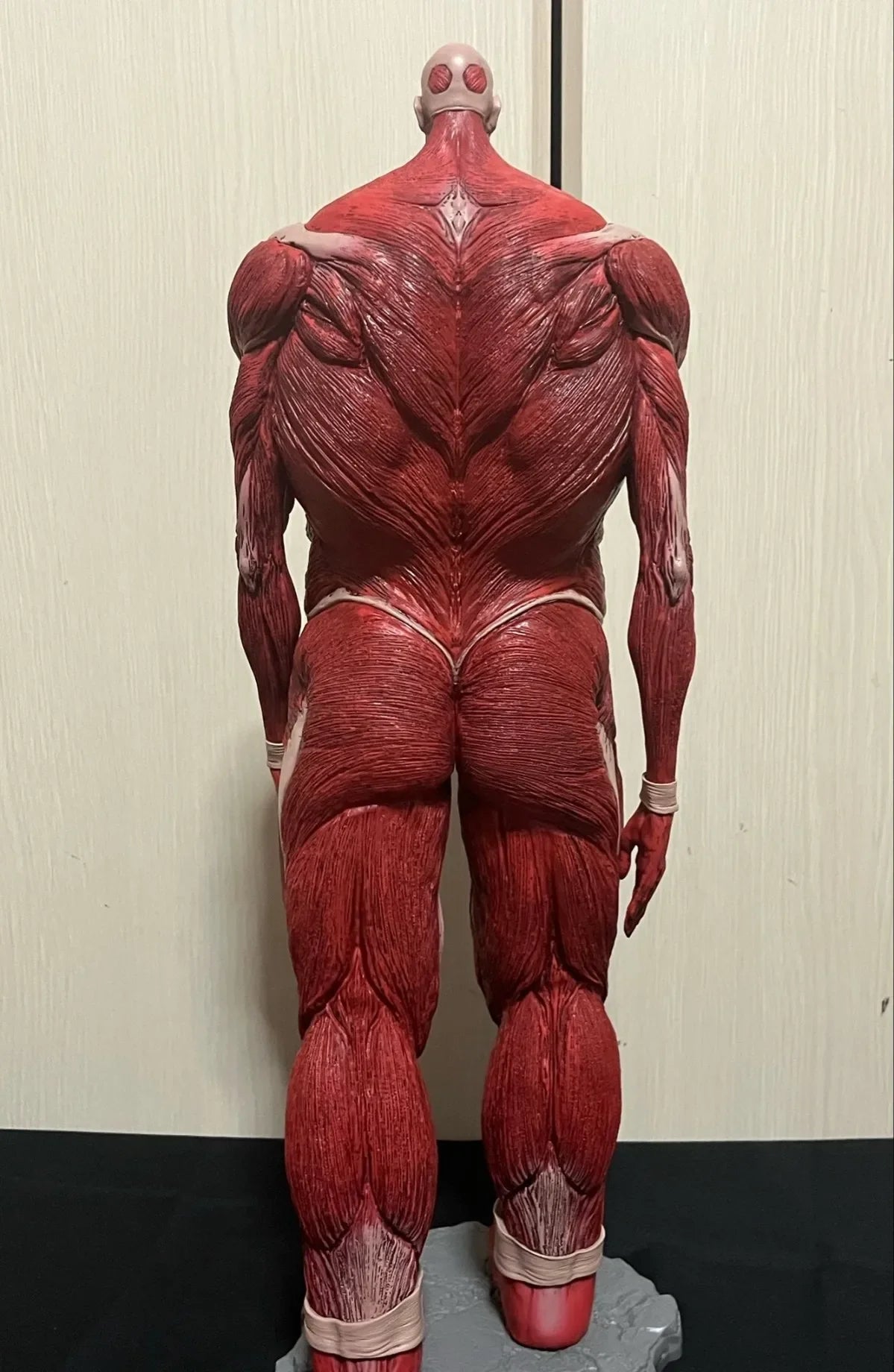 Attack on Titan Colossal Titan Figure | 450mm Model | Toylandeu™