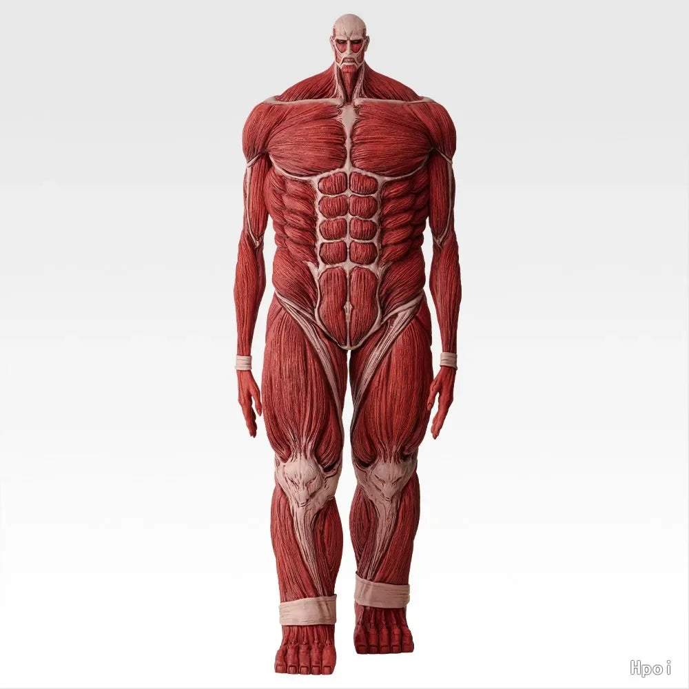 Attack on Titan Colossal Titan Figure | 450mm Model | Toylandeu™
