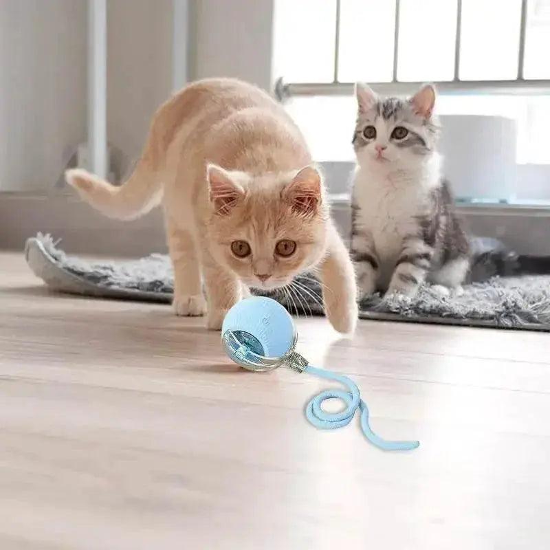  Automatic Rolling Ball Cat Interactive Toy With Tail -  ToylandEU™