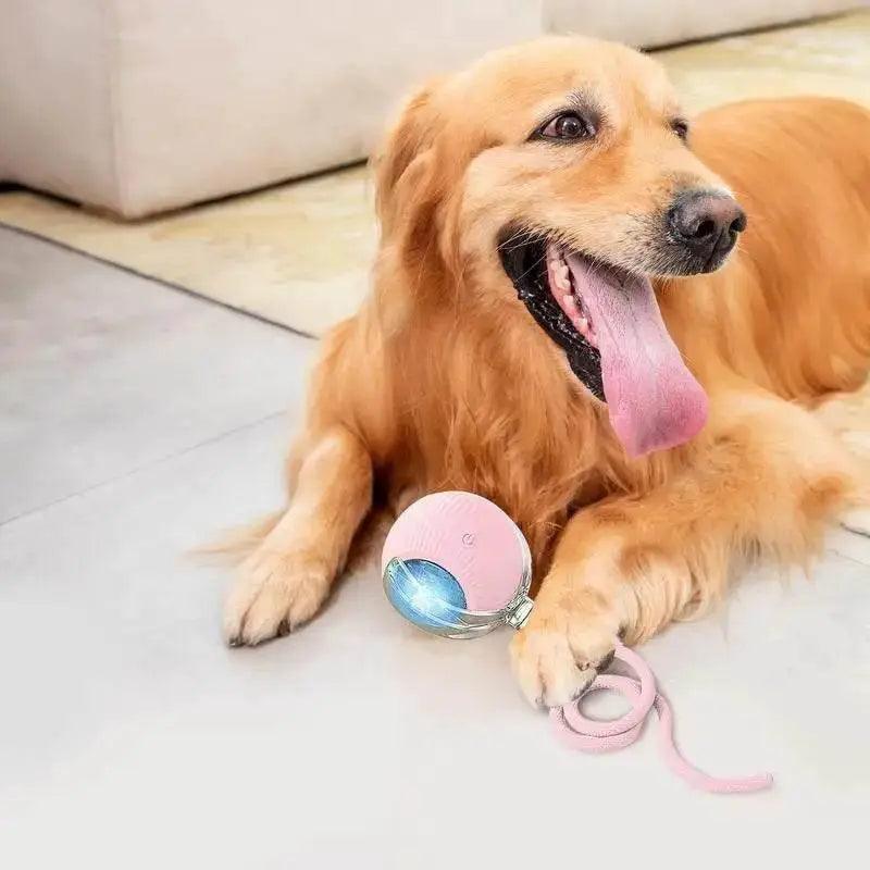  Automatic Rolling Ball Cat Interactive Toy With Tail -  ToylandEU™