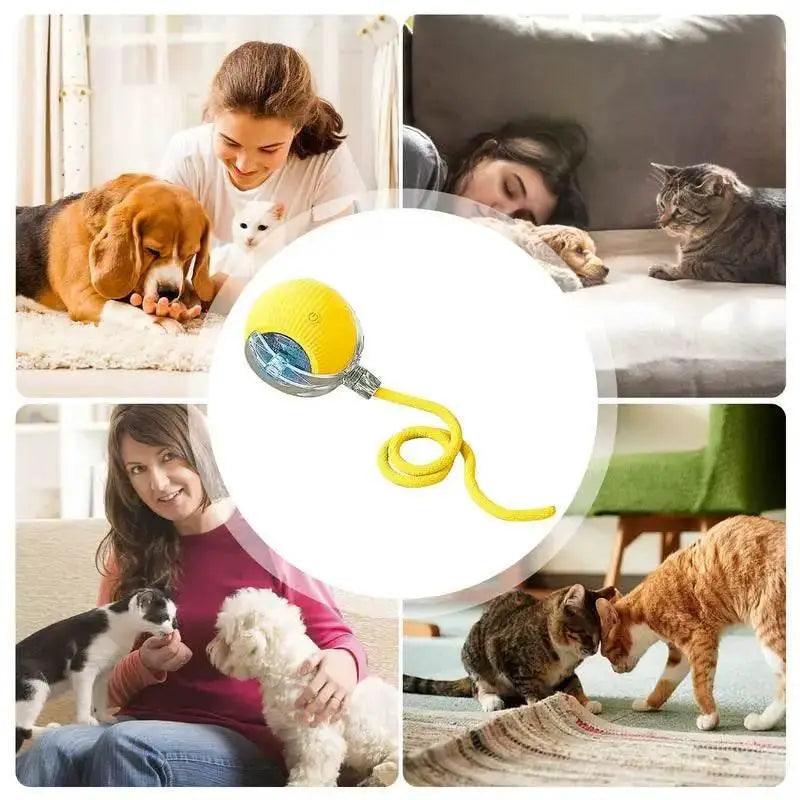 Automatic Rolling Ball Cat Interactive Toy With Tail -  ToylandEU™