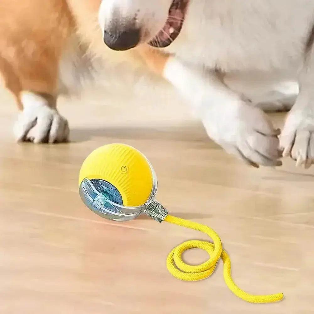  Automatic Rolling Ball Cat Interactive Toy With Tail -  ToylandEU™