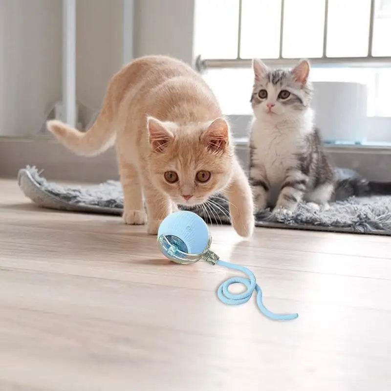 Automatic Rolling Ball Cat Interactive Toy With Tail - ToylandEU