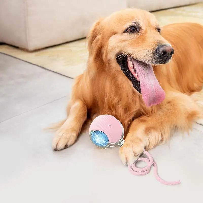 Automatic Rolling Ball Cat Interactive Toy With Tail - ToylandEU