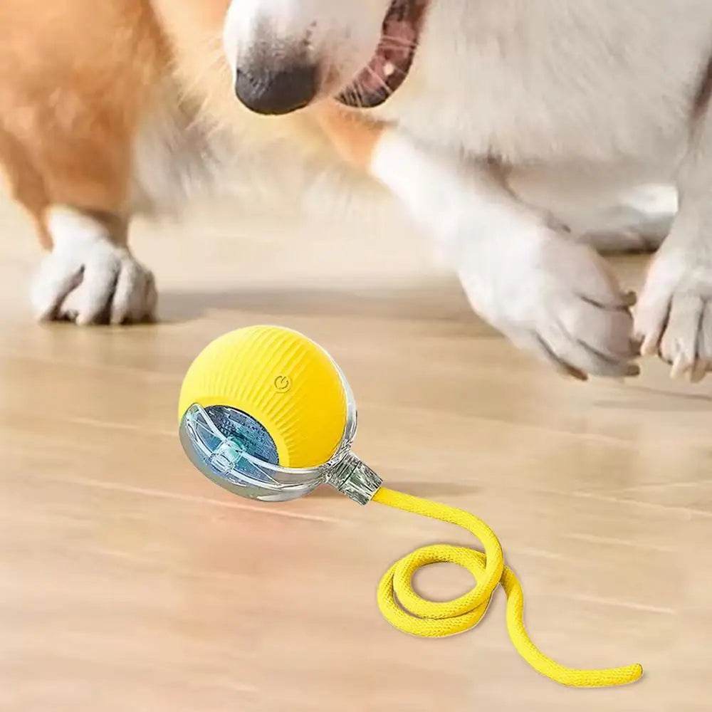 Automatic Rolling Ball Cat Interactive Toy With Tail - ToylandEU