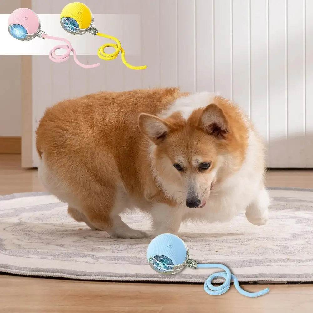 Automatic Rolling Ball Cat Interactive Toy With Tail - ToylandEU