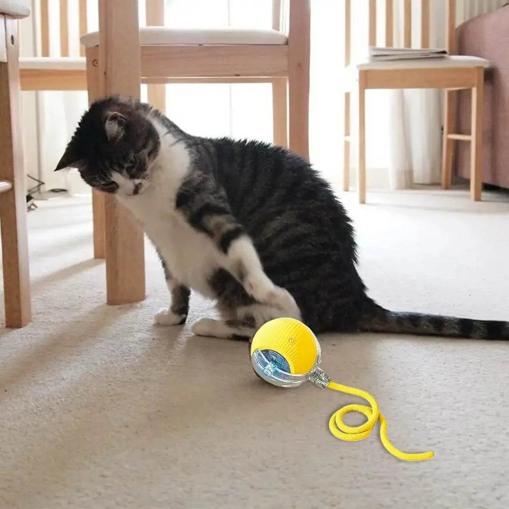Automatic Rolling Ball Cat Interactive Toy With Tail - ToylandEU