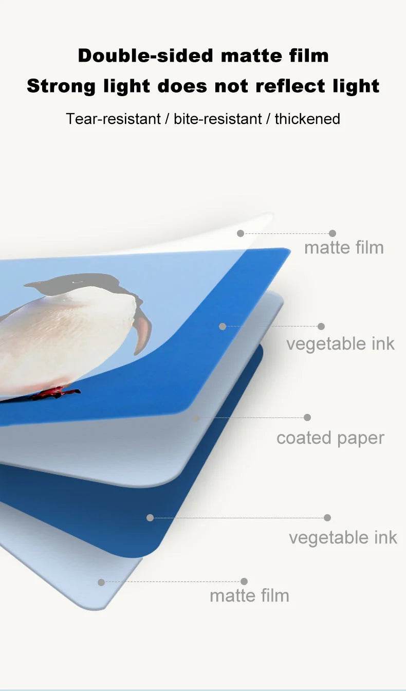 Baby Montessori Toys Black White Flash Cards High Contrast Visual Stimulation Colour Cards Early Education Toys For Nerborns - ToylandEU