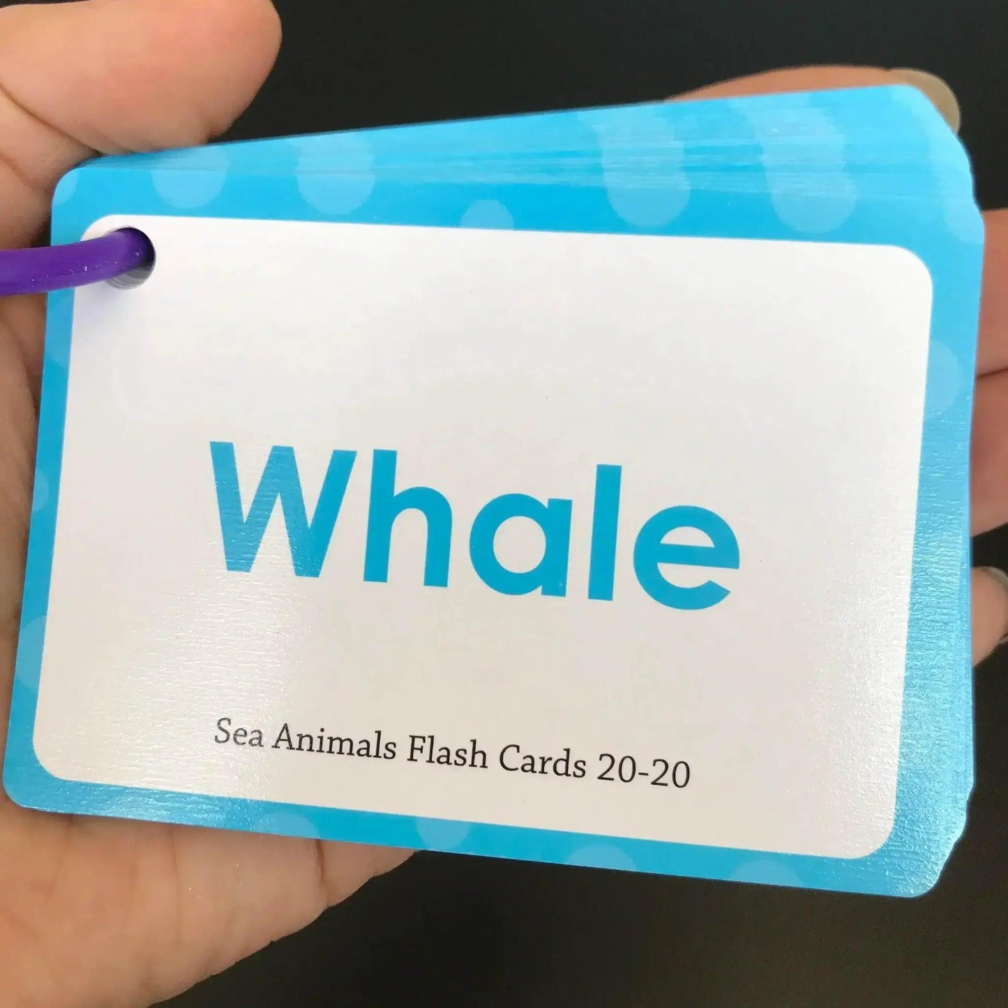  Baby Montessori Learn English Word Cards For Toddlers ABC Numbers Fruits Animals Body Parts Flashcards -  ToylandEU™