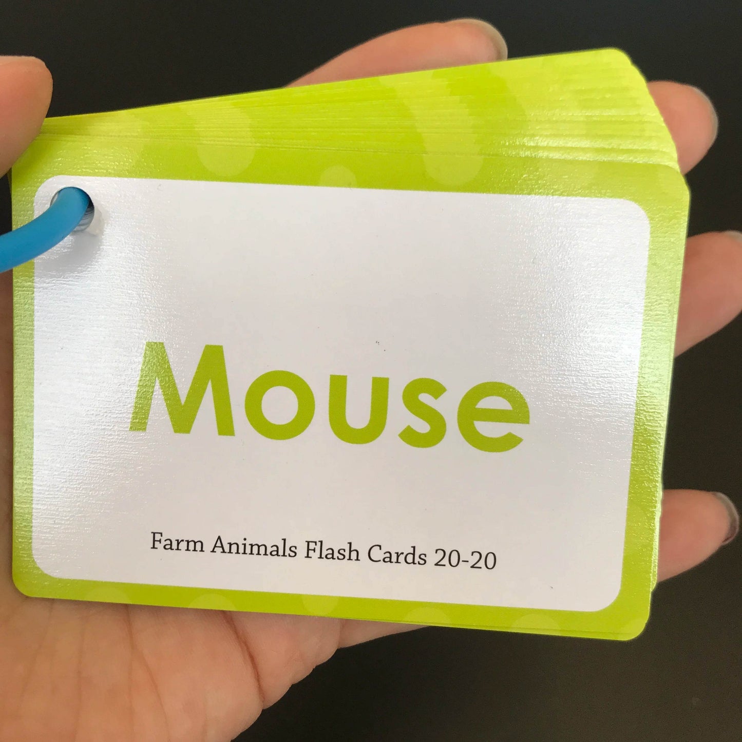 Baby Montessori Learn English Word Card Toddler Flashcards ABC Numbers Fruit Animal Body Educational Enlightenment Card for Kids - ToylandEU