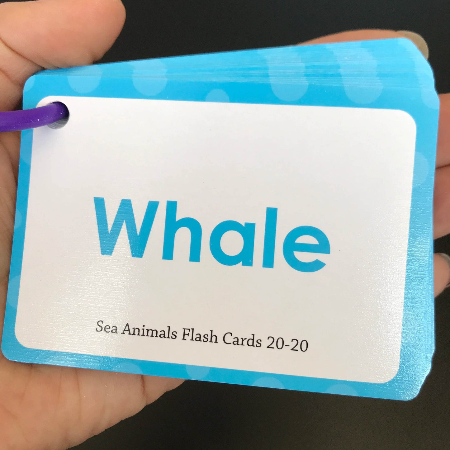 Baby Montessori Learn English Word Card Toddler Flashcards ABC Numbers Fruit Animal Body Educational Enlightenment Card for Kids - ToylandEU