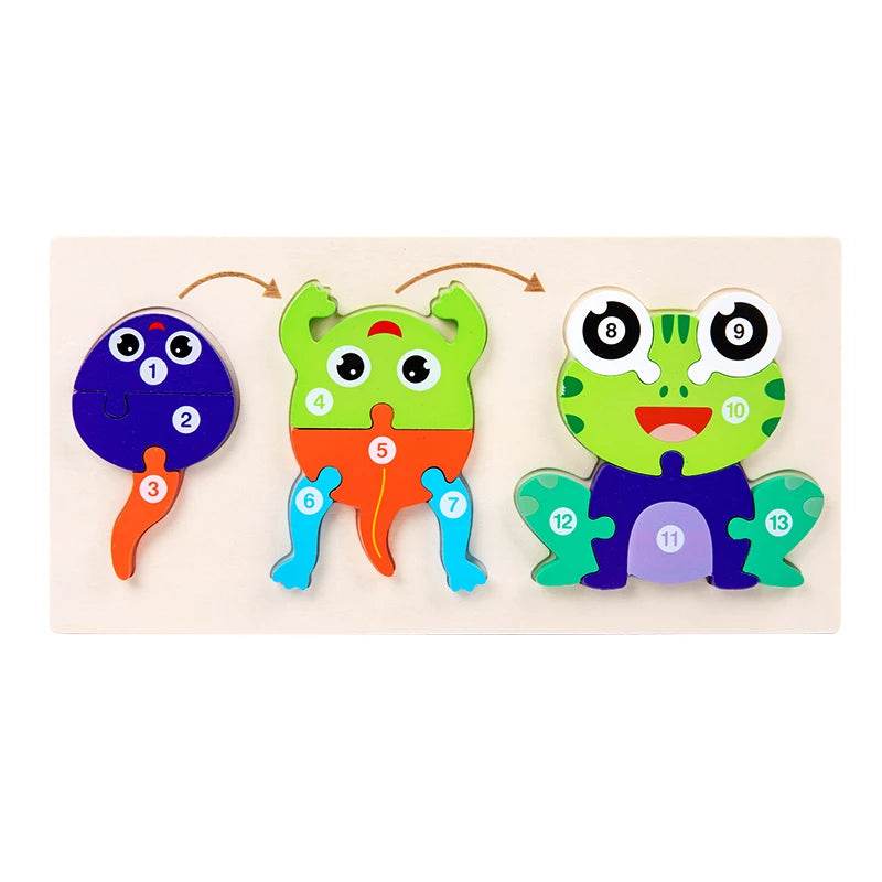 Baby Toy Wooden 3D Puzzle Toys Life Cycle Cartoon Jigsaw - ToylandEU
